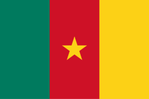 Urgent jobs in Cameroon